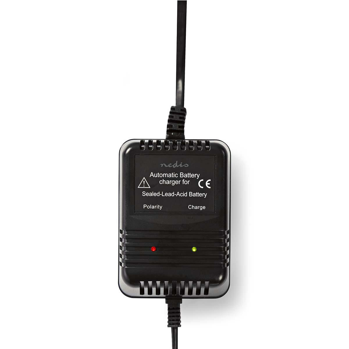 bacch02_3.jpg bacch02 3