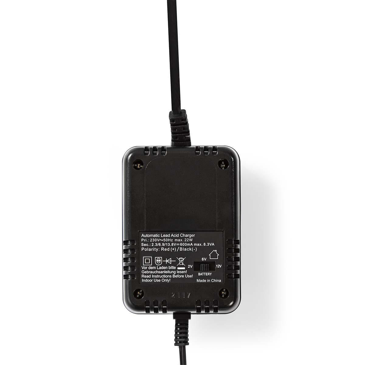 bacch02_4.jpg bacch02 4