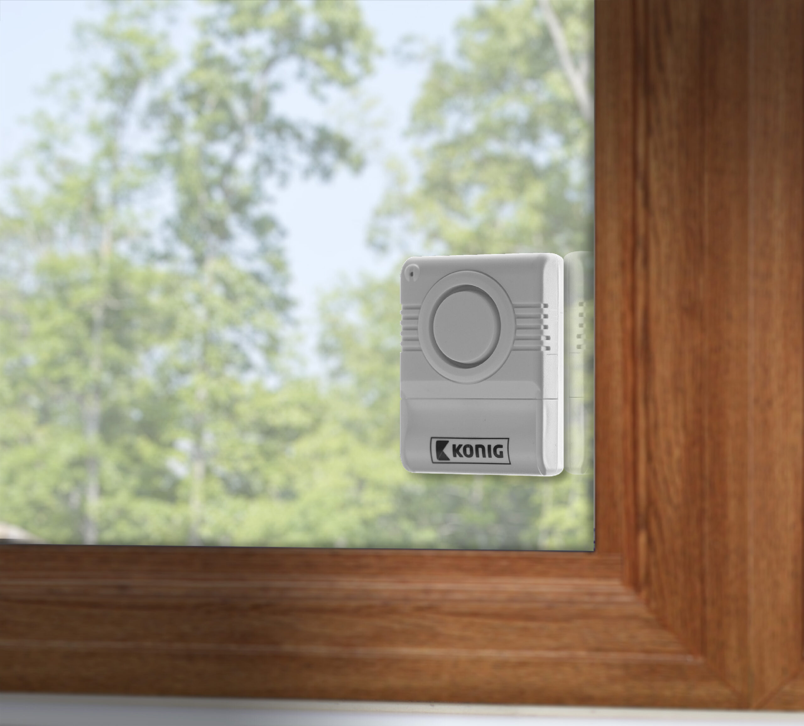 sas-agb10_6.jpg sas agb10 6 scaled