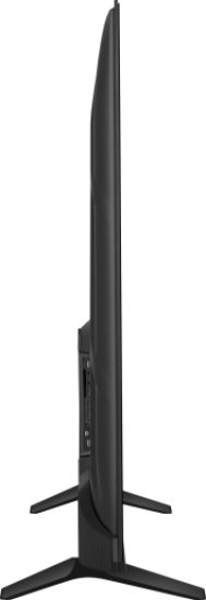 T1 N00032720 1 scaled