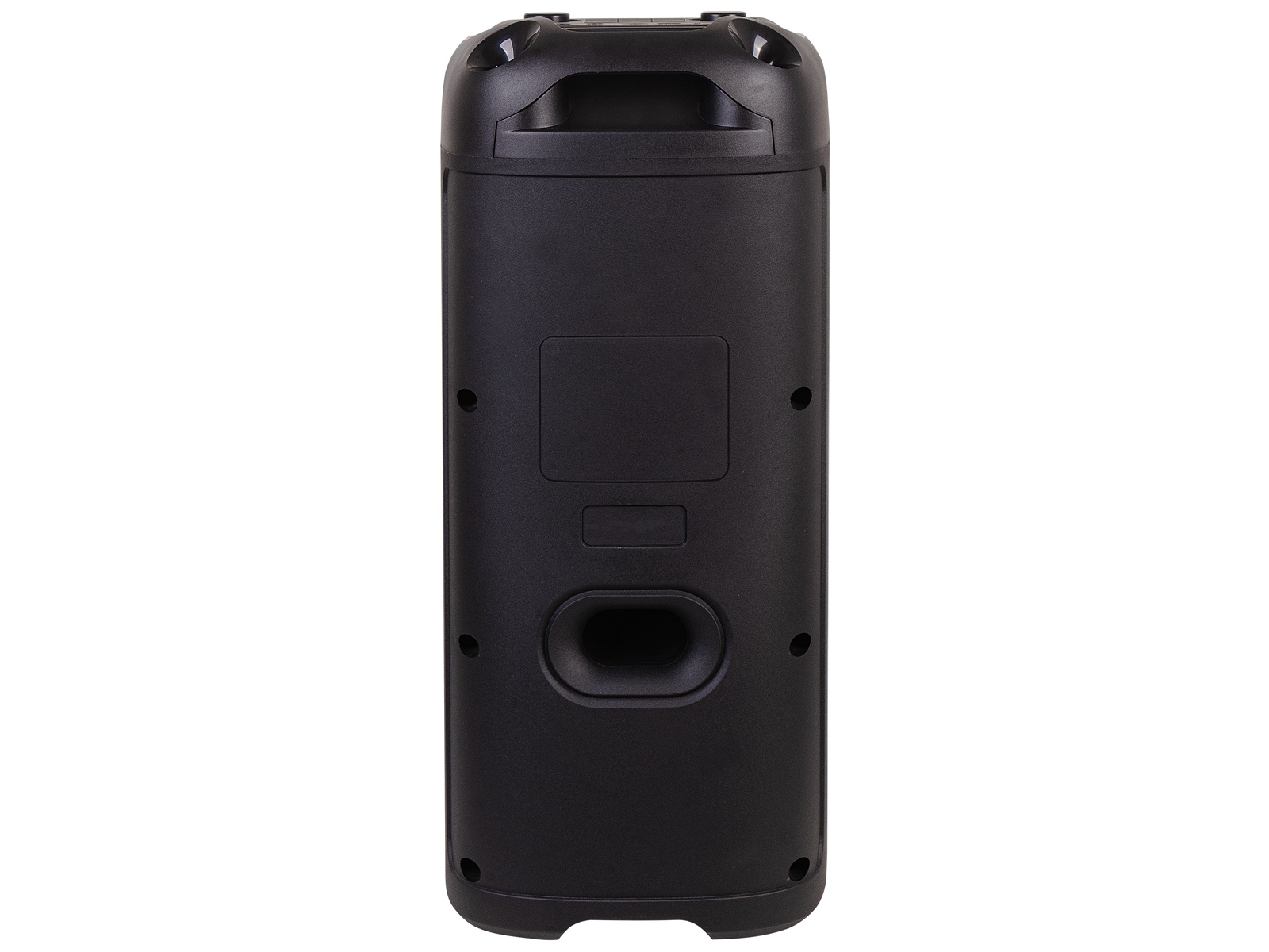 Bluetooth Zvučnik | 100W | TWS | RGB | Mikrofon | TREVI 4